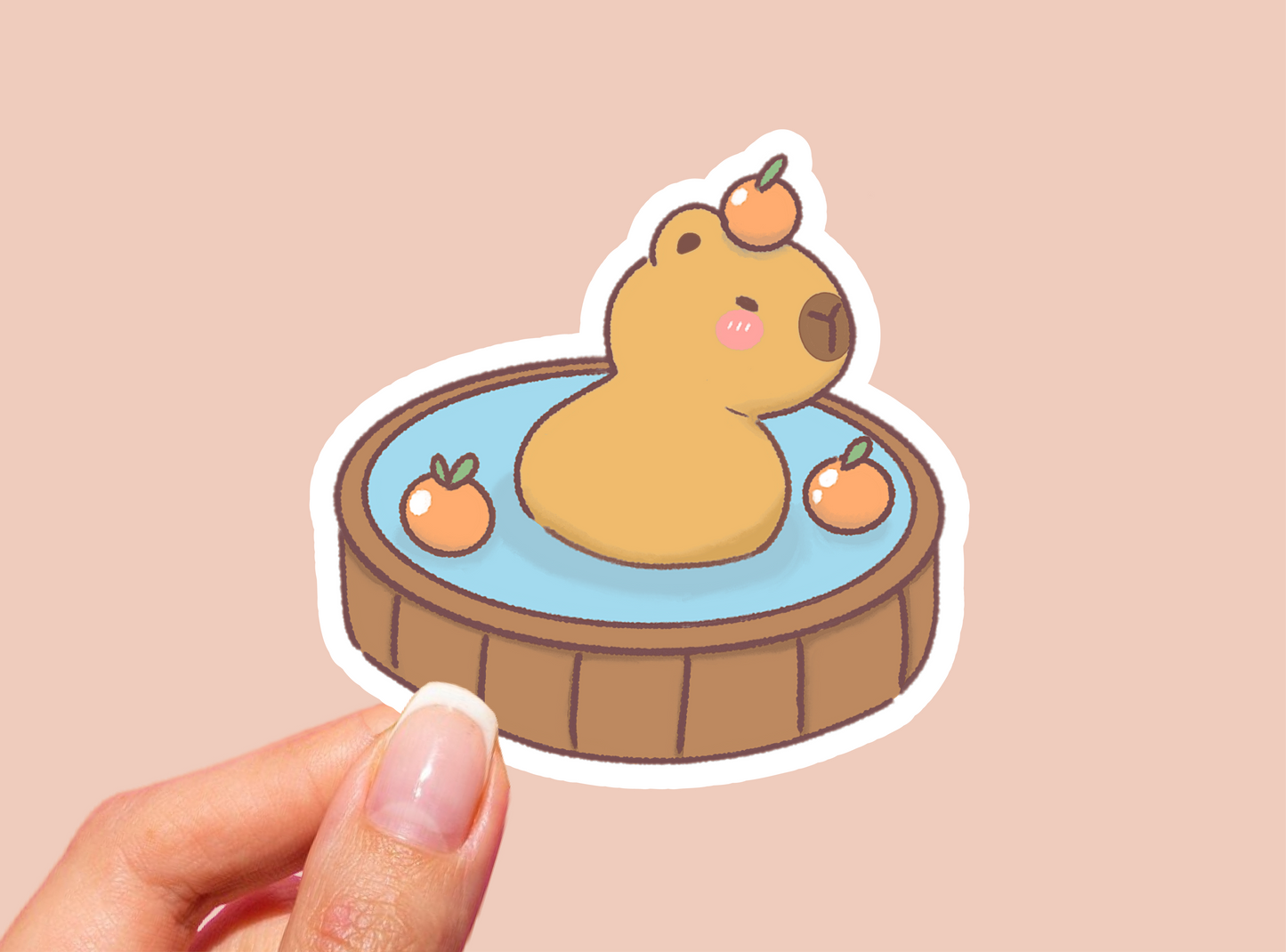 Vinyl Die Cut Sticker