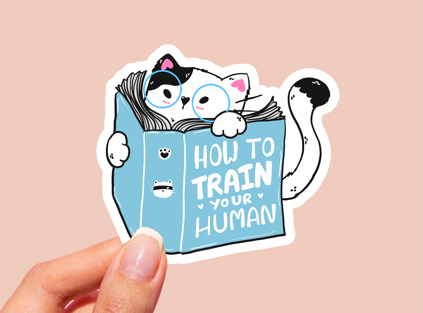 Funny Cat Vinyl Die Cut Sticker