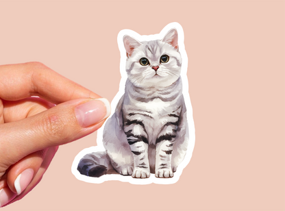 Cat Vinyl Die Cut Sticker