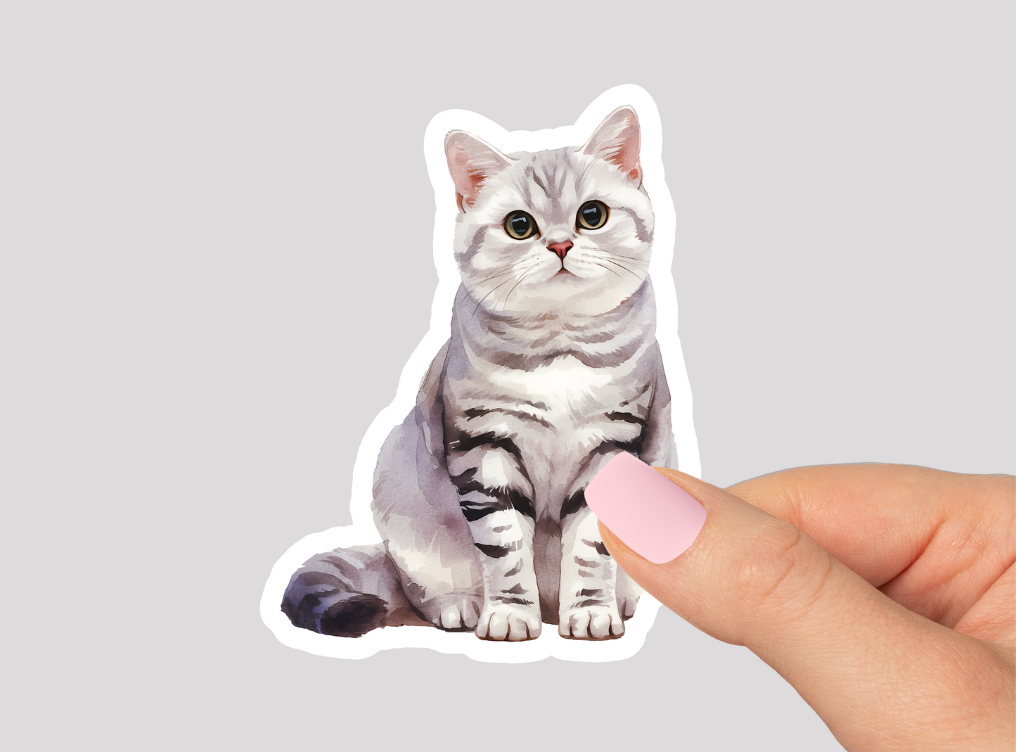 Cat Vinyl Die Cut Sticker