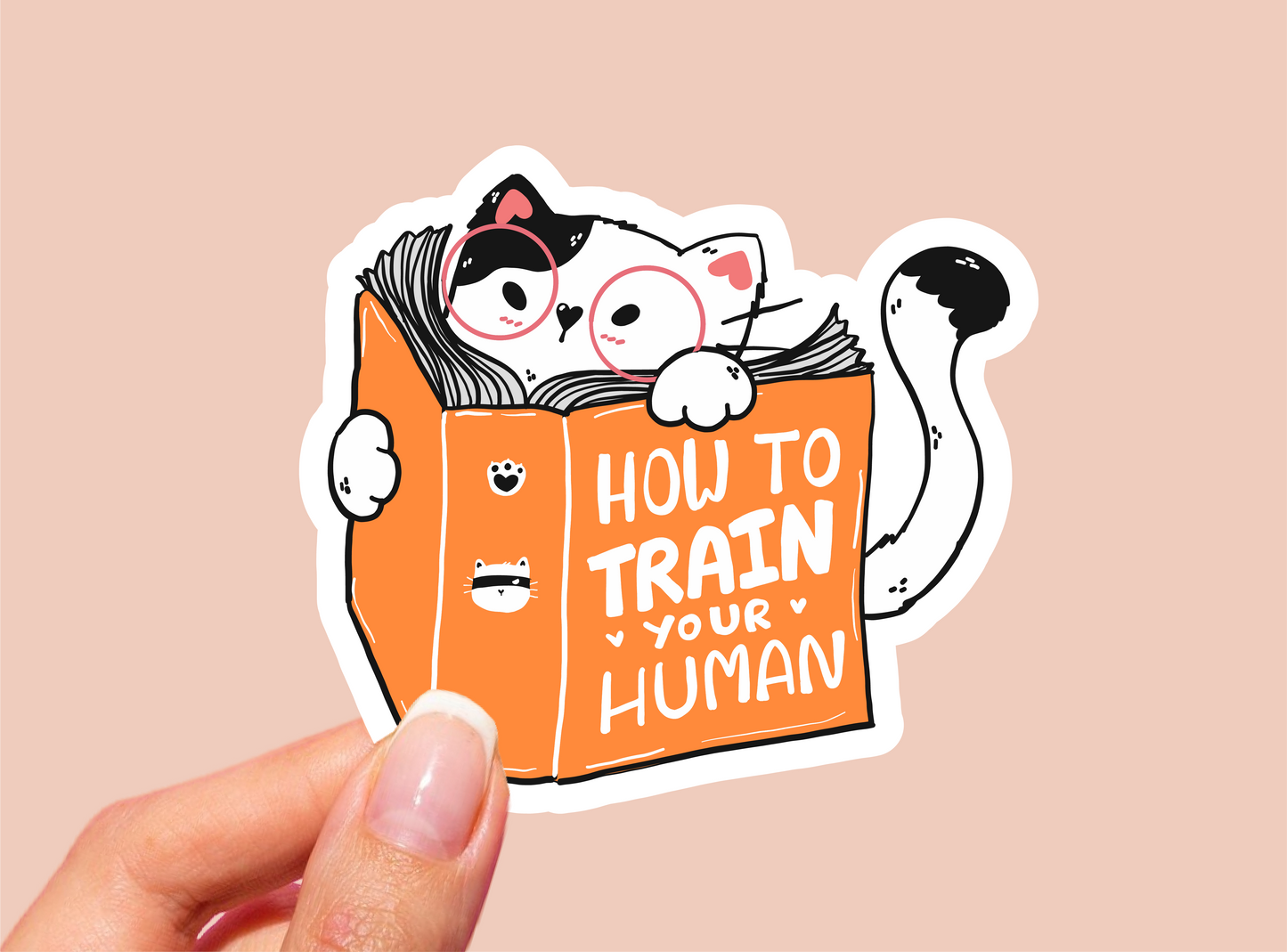 Funny Cat Vinyl Die Cut Sticker