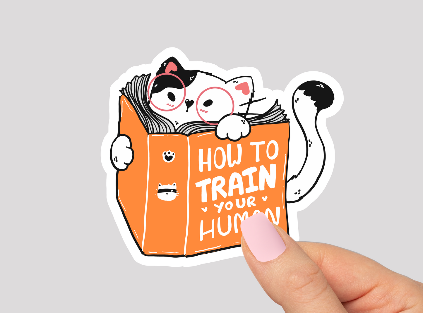 Funny Cat Vinyl Die Cut Sticker