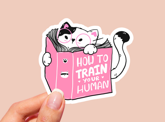 Funny Cat Vinyl Die Cut Sticker