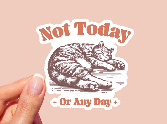 Not Today Or Any Day Cat Vinyl Die Cut Sticker