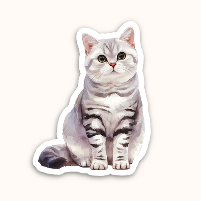 Cat Vinyl Die Cut Sticker